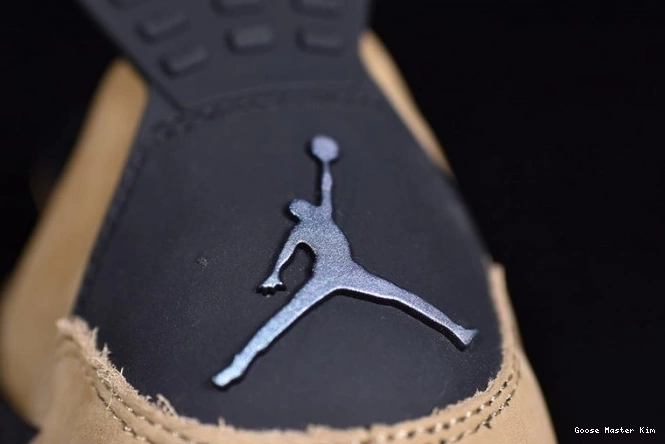4 Air Jordan Mushroom AQ9129-200 0809